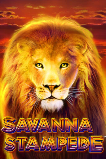 Savanna Stampede демо игра | Гранд Казино играть без регистрации 
