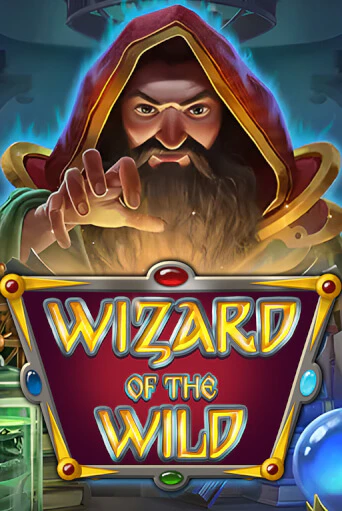 Wizard of the Wild демо игра | Гранд Казино играть без регистрации 